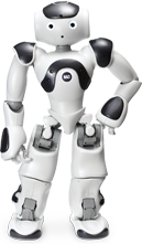 Nao robot 2024 price ebay